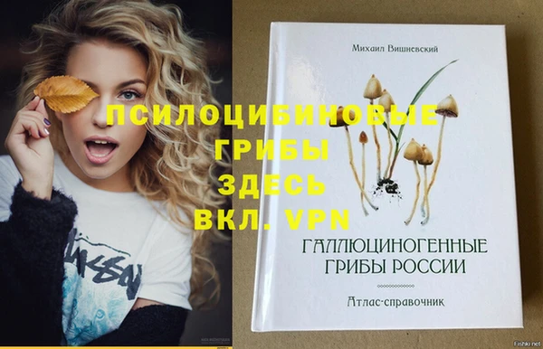 спиды Володарск