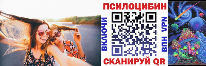 хочу   Майкоп  маркетплейс телеграм  Псилоцибиновые грибы Psilocybine cubensis 